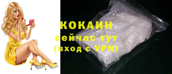 мдпв Дмитриев