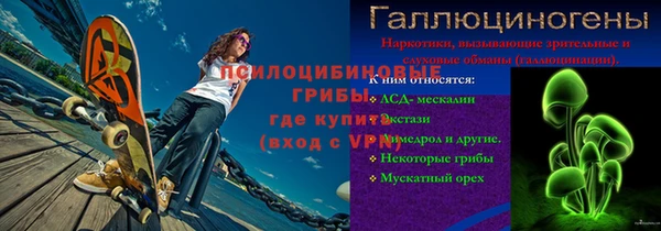 прущие грибы Дмитровск
