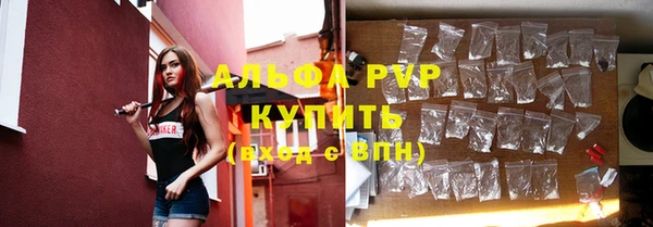 прущие грибы Абдулино