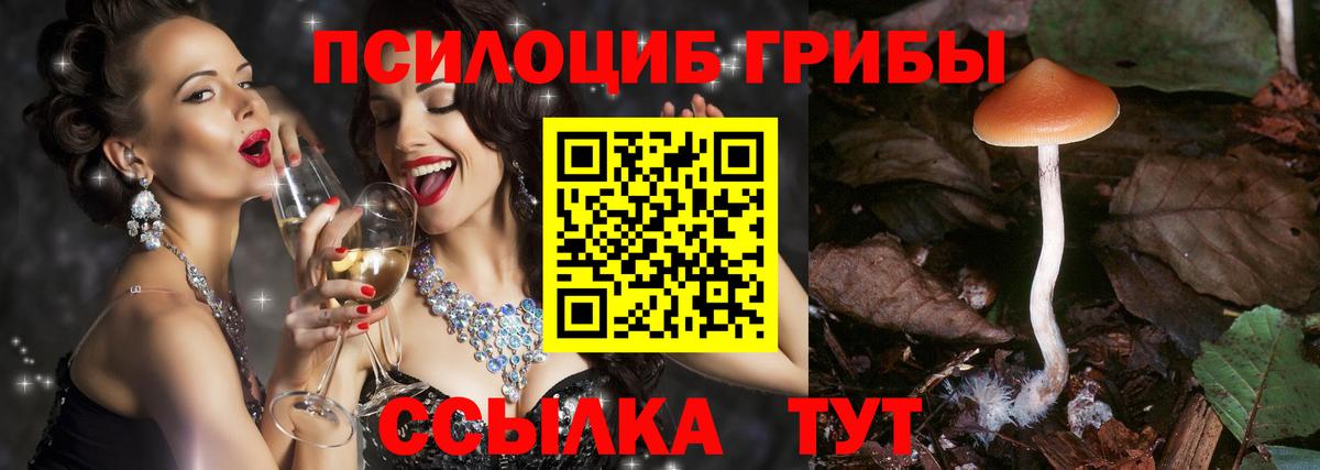 Псилоцибиновые грибы Psilocybe  Псилоцибиновые грибы GOLDEN TEACHER  Партизанск  Вход с VPN 